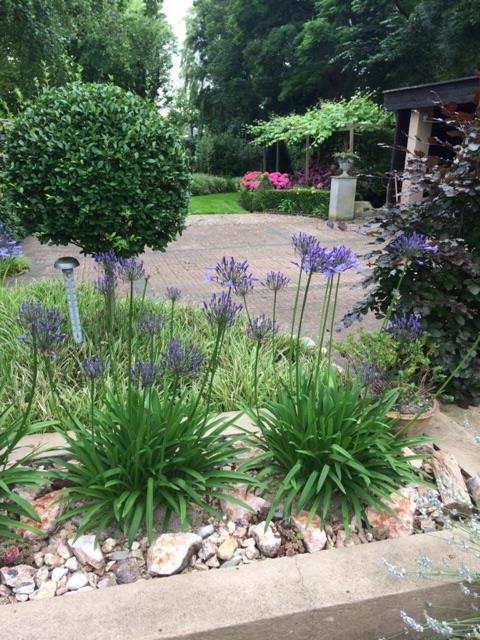 Agapanthus Bed And Breakfast Hoogkarspel Eksteriør bilde